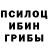 Псилоцибиновые грибы ЛСД Abby Leavengood