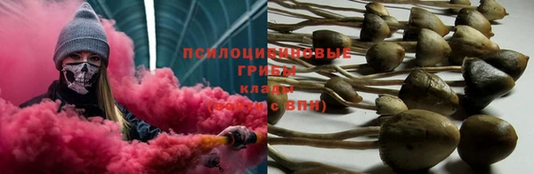 шишки Абдулино