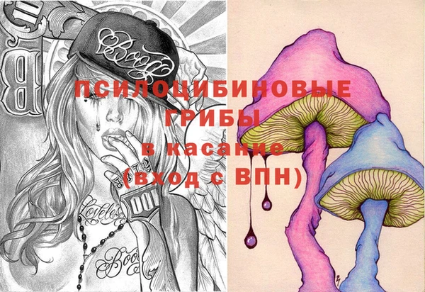 амф Абинск