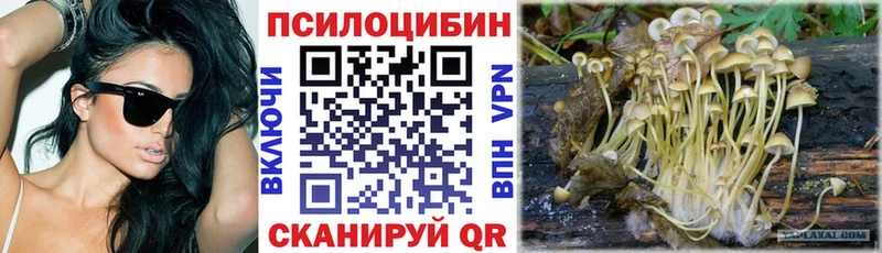 Галлюциногенные грибы Psilocybe  закладки  Лиски 